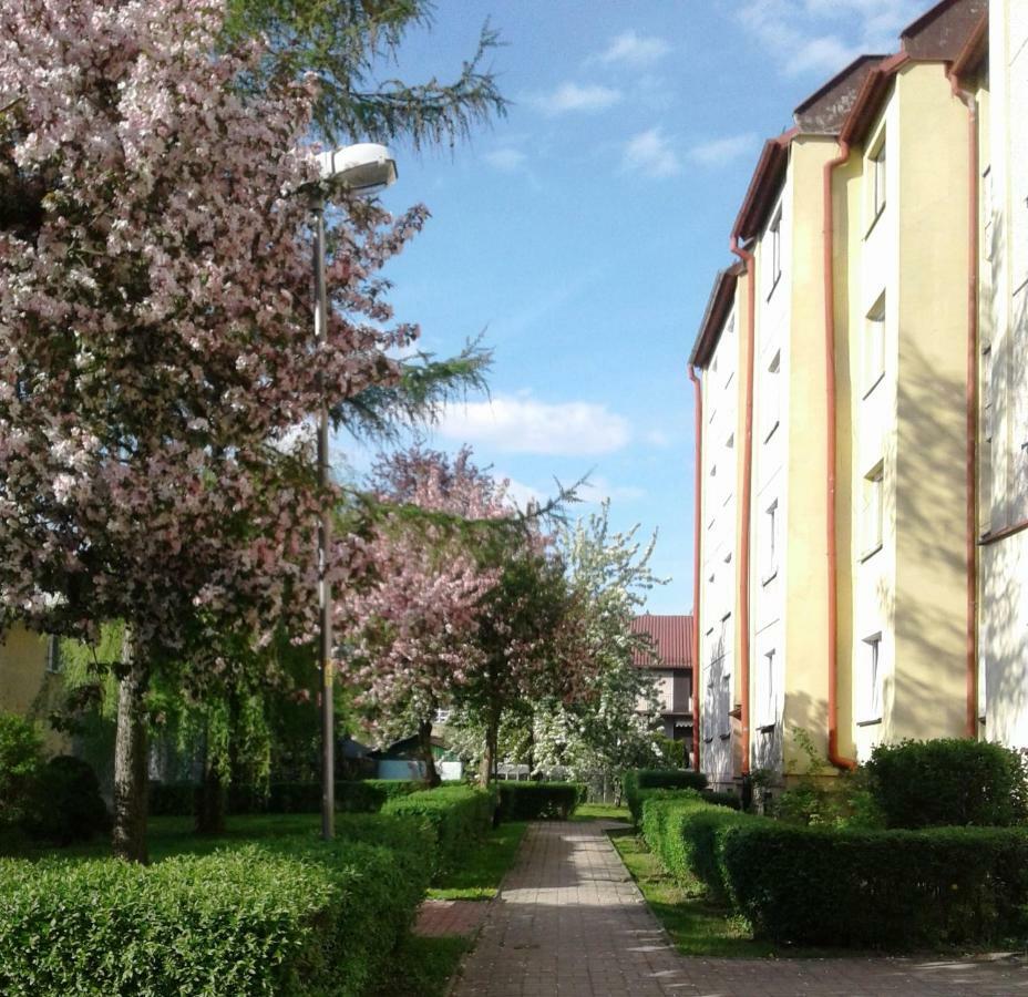 Apartament Jasminowy Lägenhet Kudowa-Zdrój Exteriör bild